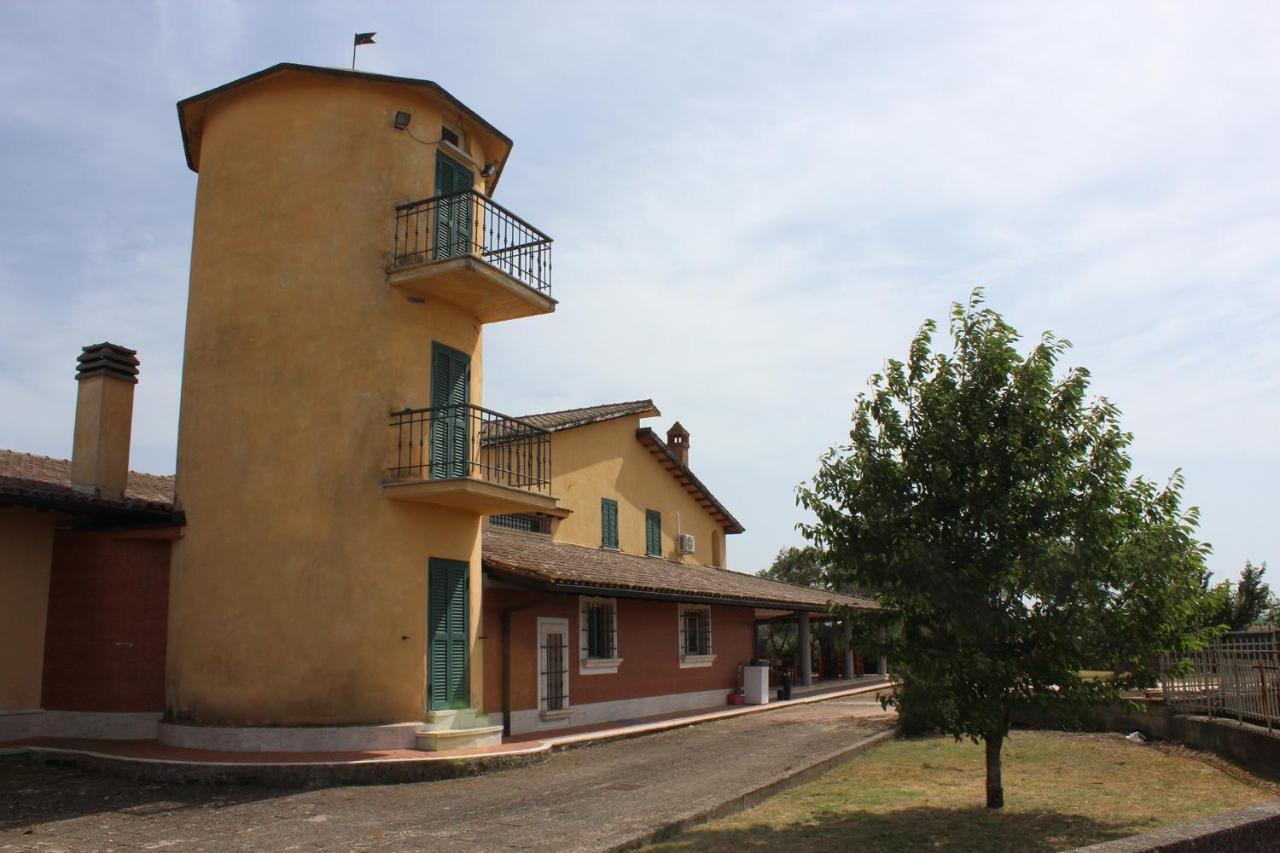 Il Granaio Del Pavone Villa Nepi Exteriör bild